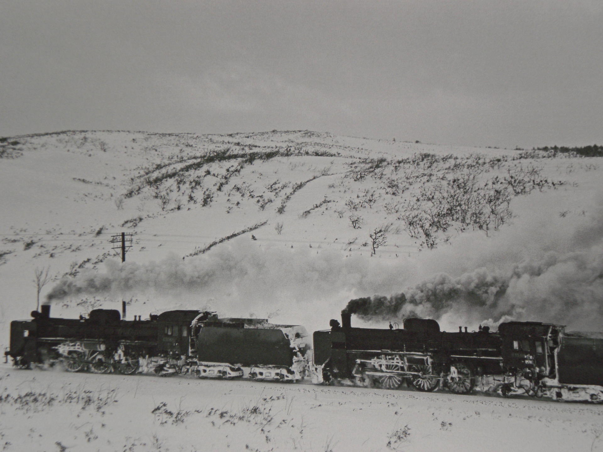 275 〔懐かしの鉄道写真〕夜行急行「利尻２号」。: 北の鉄ちゃんの部屋