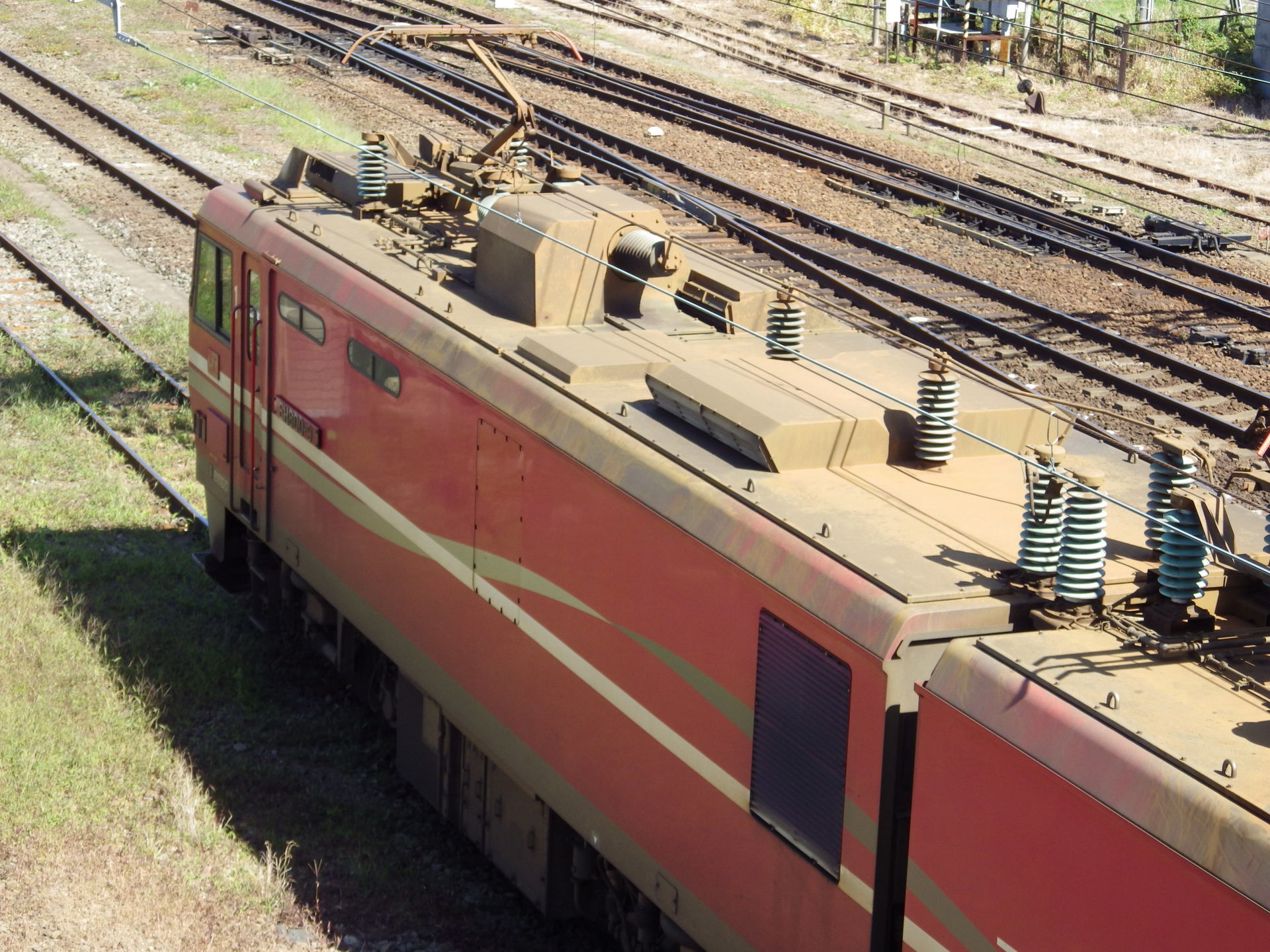 鉄道部品 検査札 国鉄 49-4 五稜郭車両センター 函館 五稜郭車セ 昭和