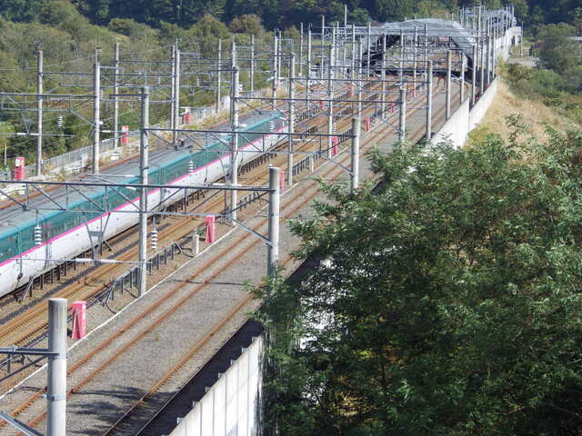 IMGP5517.JPG